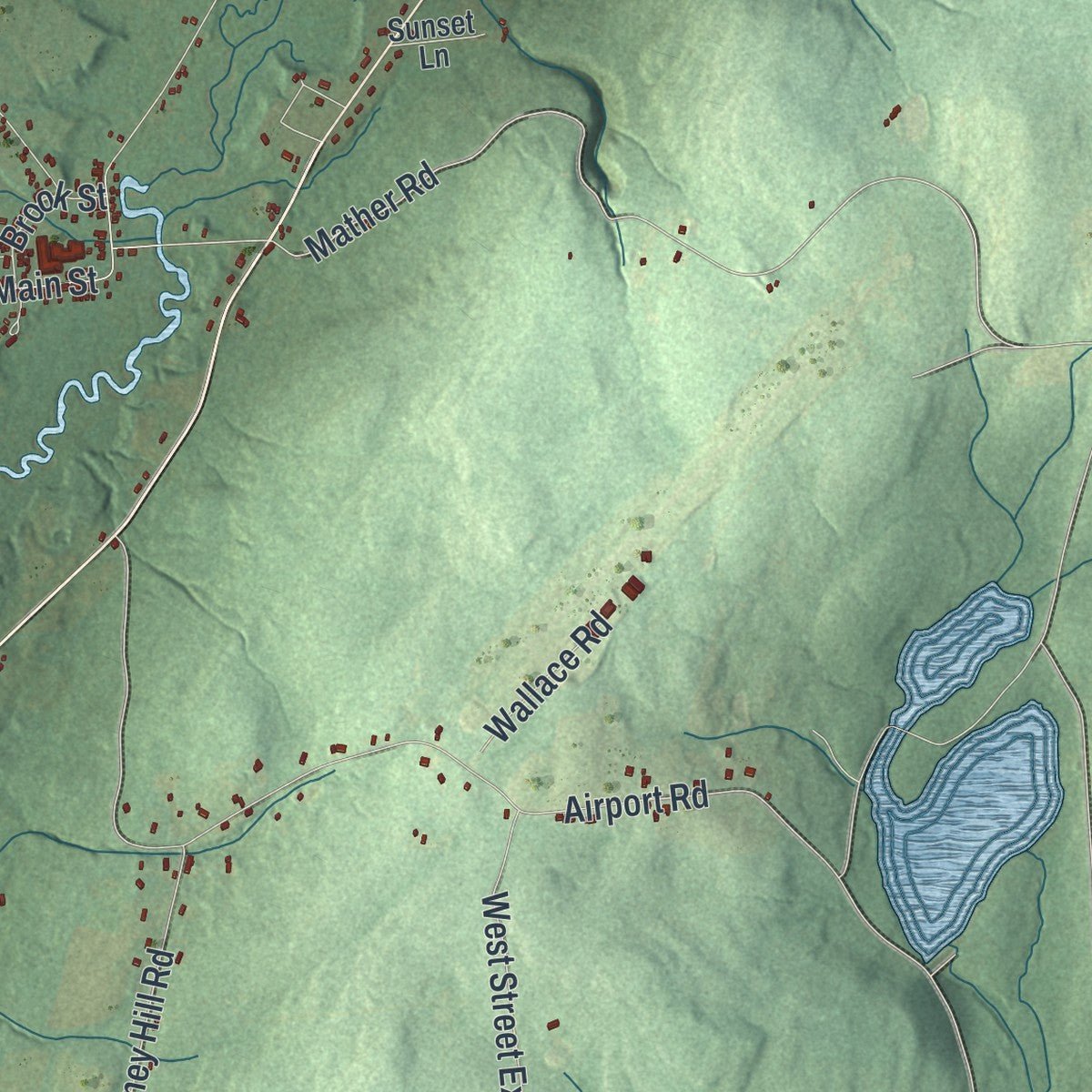 Second close-up of the map of Laurens, New York print showing more streets and buildings