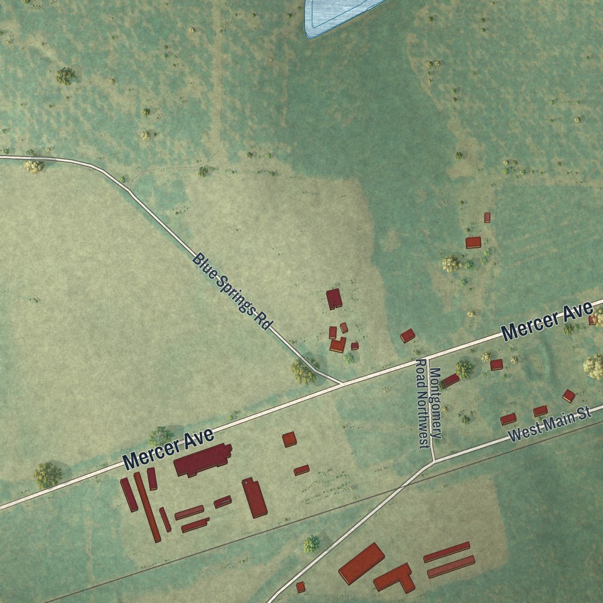 Second close-up of the map of Leary, Georgia print showing more streets and buildings