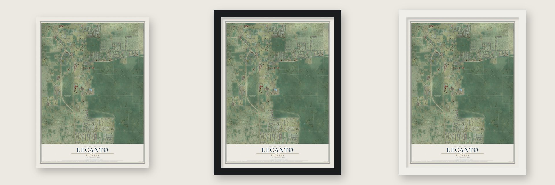 Lecanto, Florida map unframed, in a black wood frame and in a white wood frame