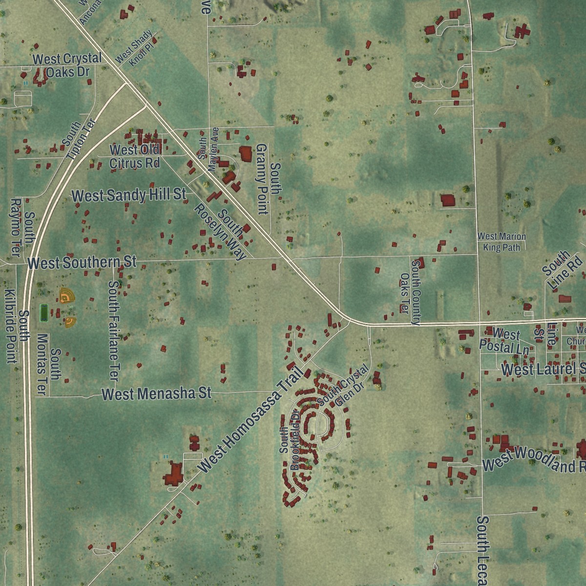 Second close-up of the map of Lecanto, Florida print showing more streets and buildings