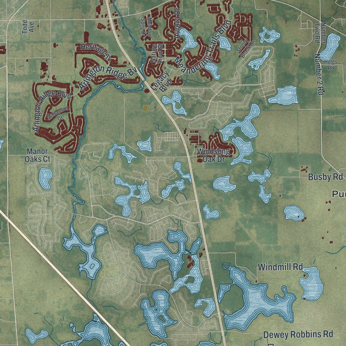 Second close-up of the map of Leesburg, Florida print showing more streets and buildings