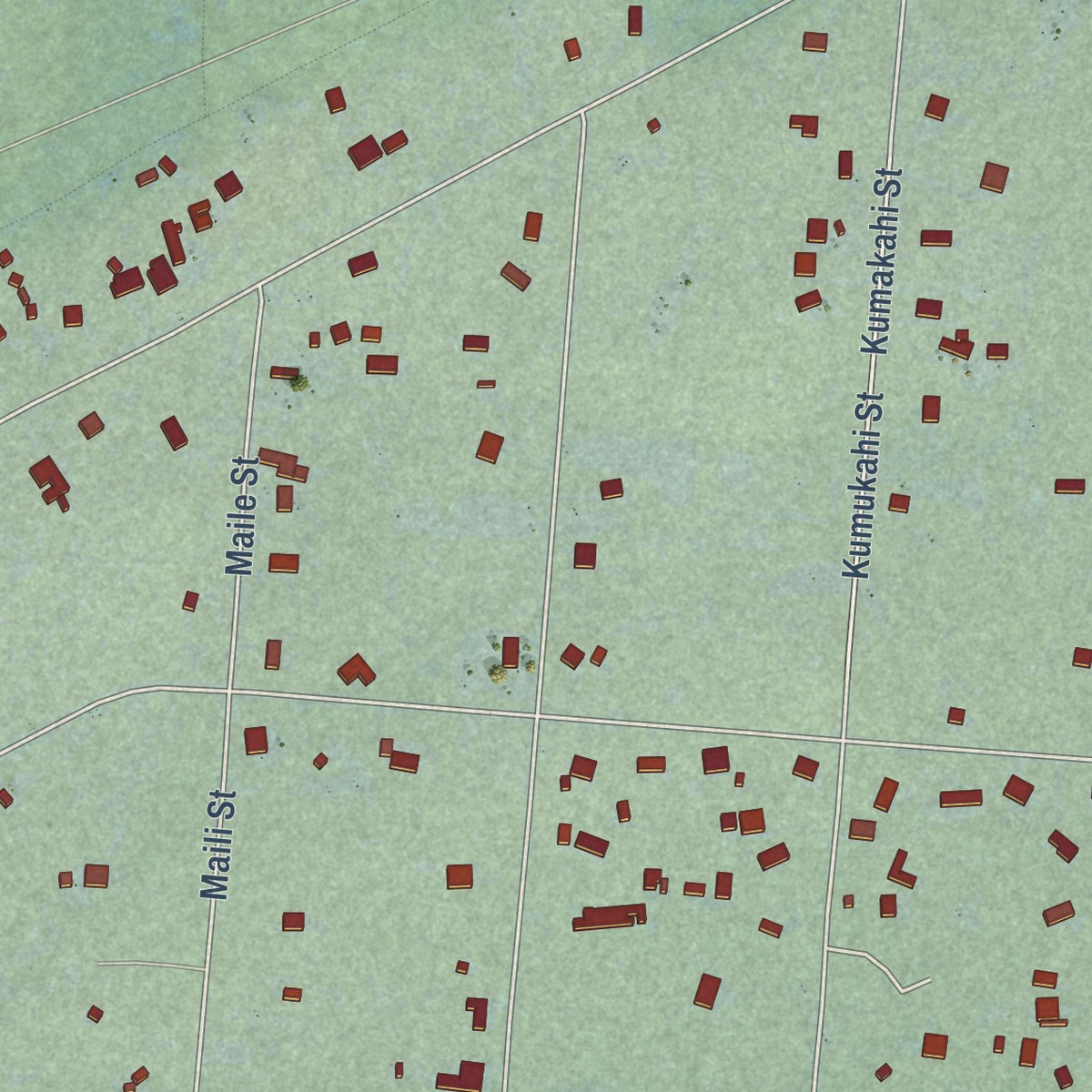 Second close-up of the map of Leilani Estates, Hawaii print showing more streets and buildings