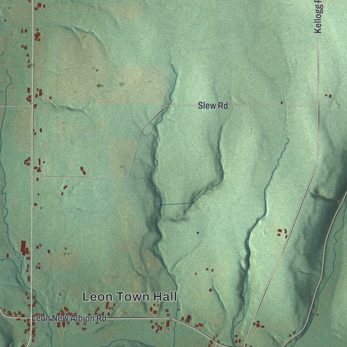 Second close-up of the map of Leon, New York print showing more streets and buildings