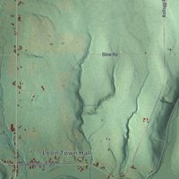 Second close-up of the map of Leon, New York print showing more streets and buildings