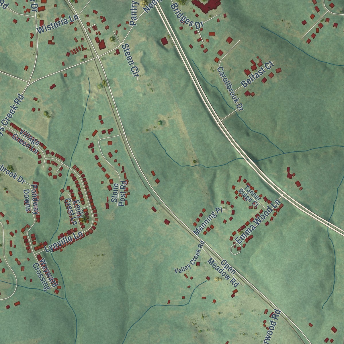 Second close-up of the map of Lesslie, South Carolina print showing more streets and buildings