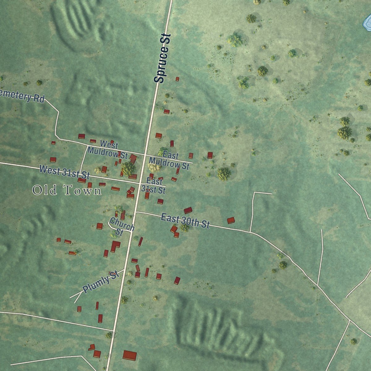 Second close-up of the map of Lewisville, Arkansas print showing more streets and buildings