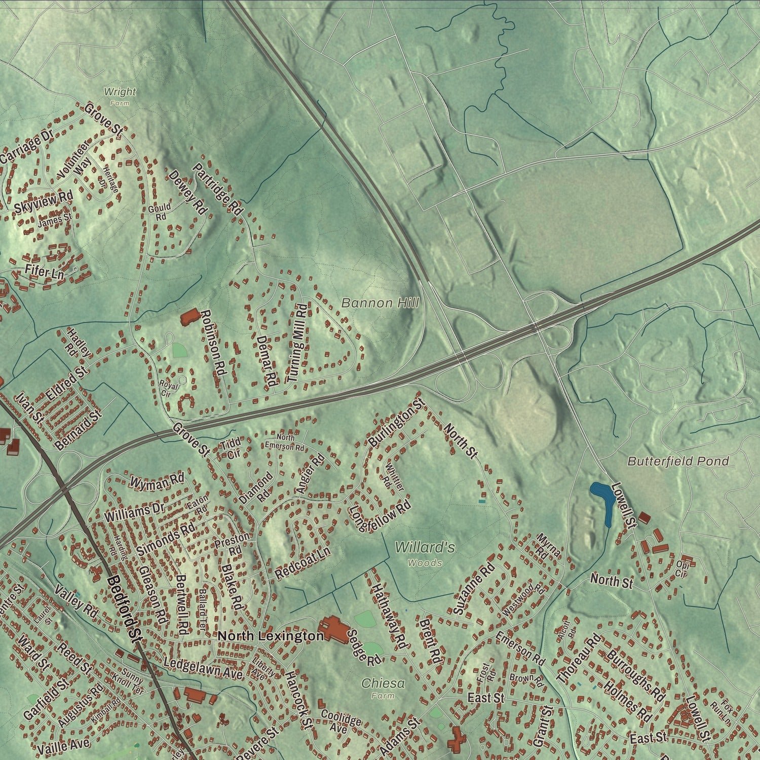 Close-up of the map of Lexington, Massachusetts print showing terrain and local geography
