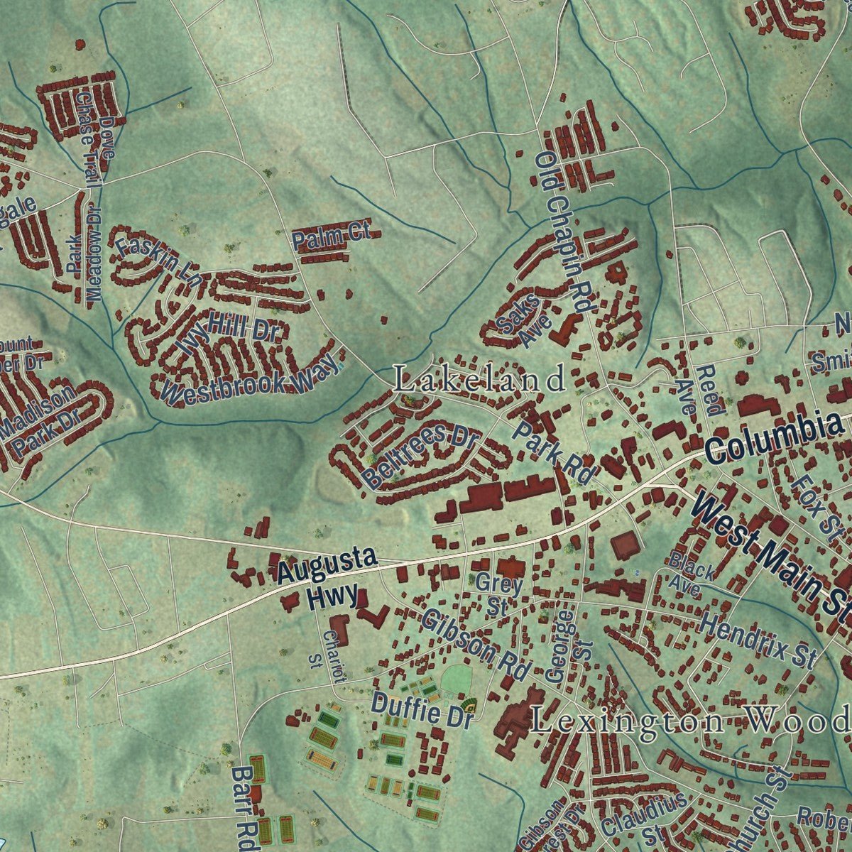 Second close-up of the map of Lexington, South Carolina print showing more streets and buildings