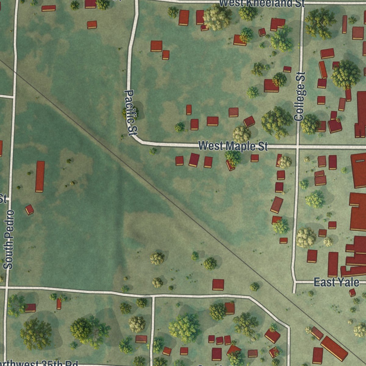 Second close-up of the map of Liberal, Missouri print showing more streets and buildings
