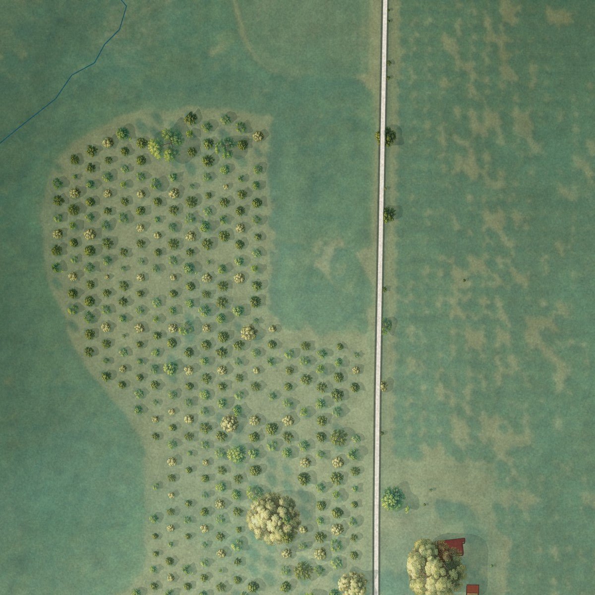 Second close-up of the map of Lilly, Georgia print showing more streets and buildings