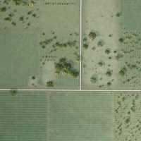 Second close-up of the map of Lindcove, California print showing more streets and buildings