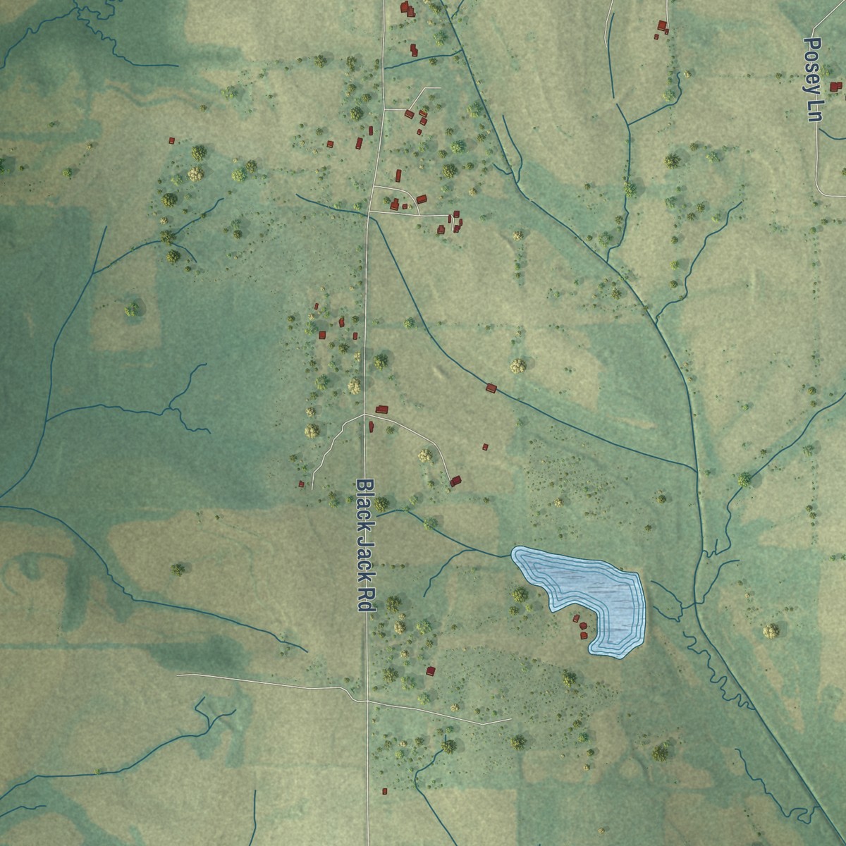 Second close-up of the map of Linwood, Mississippi print showing more streets and buildings