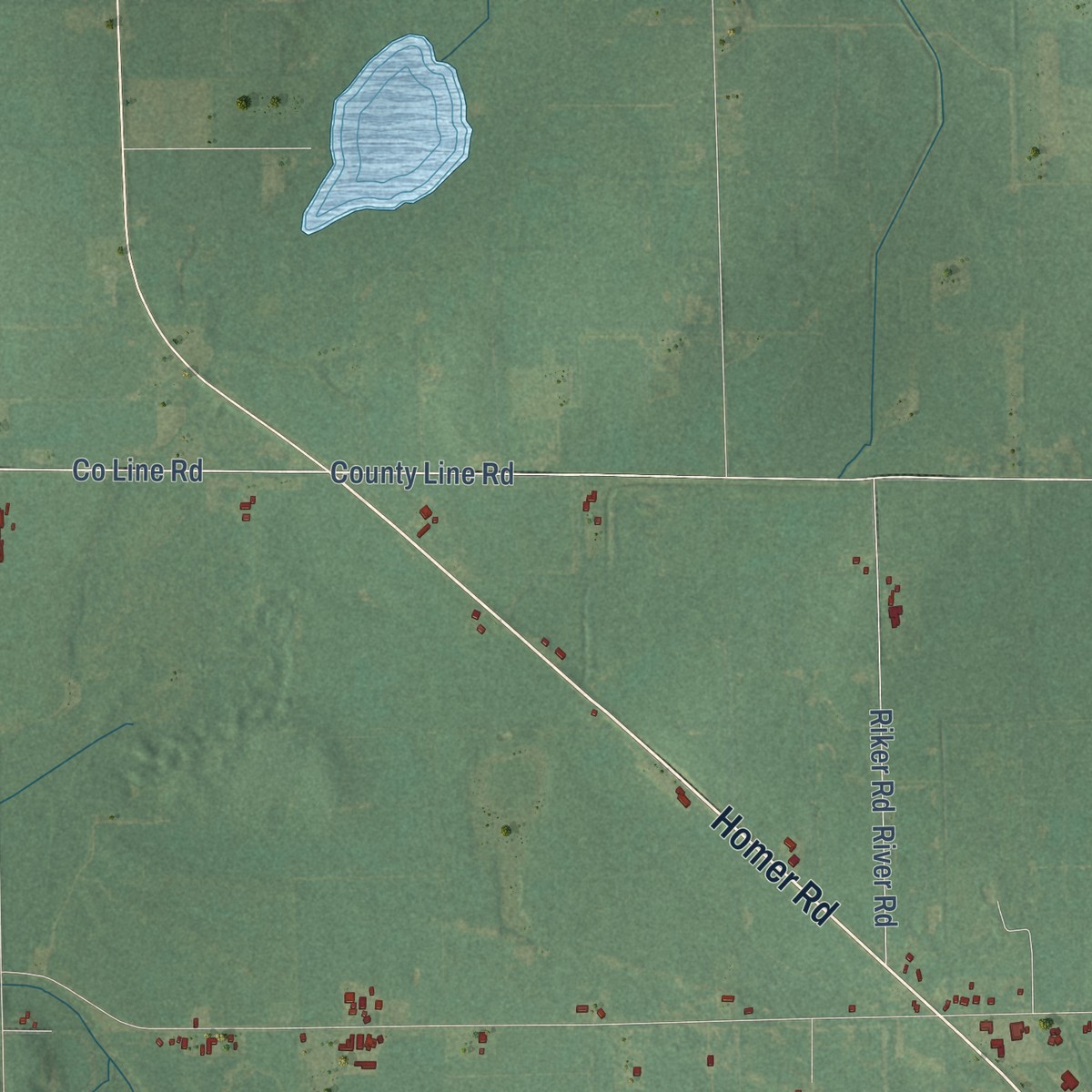 Second close-up of the map of Litchfield, Hillsdale County, Michigan print showing more streets and buildings