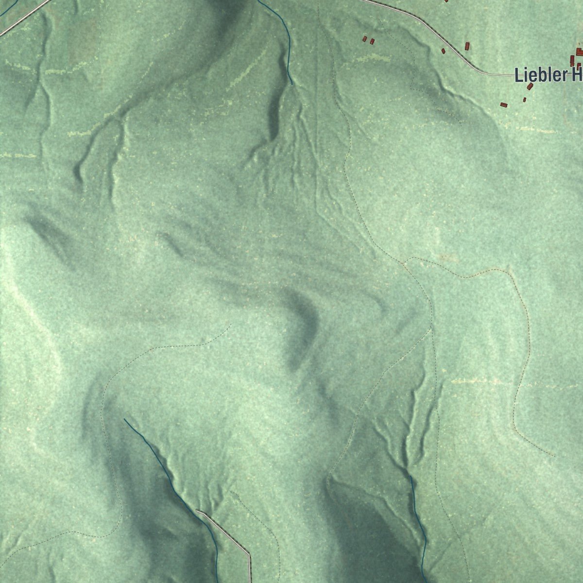Second close-up of the map of Little Valley, New York print showing more streets and buildings