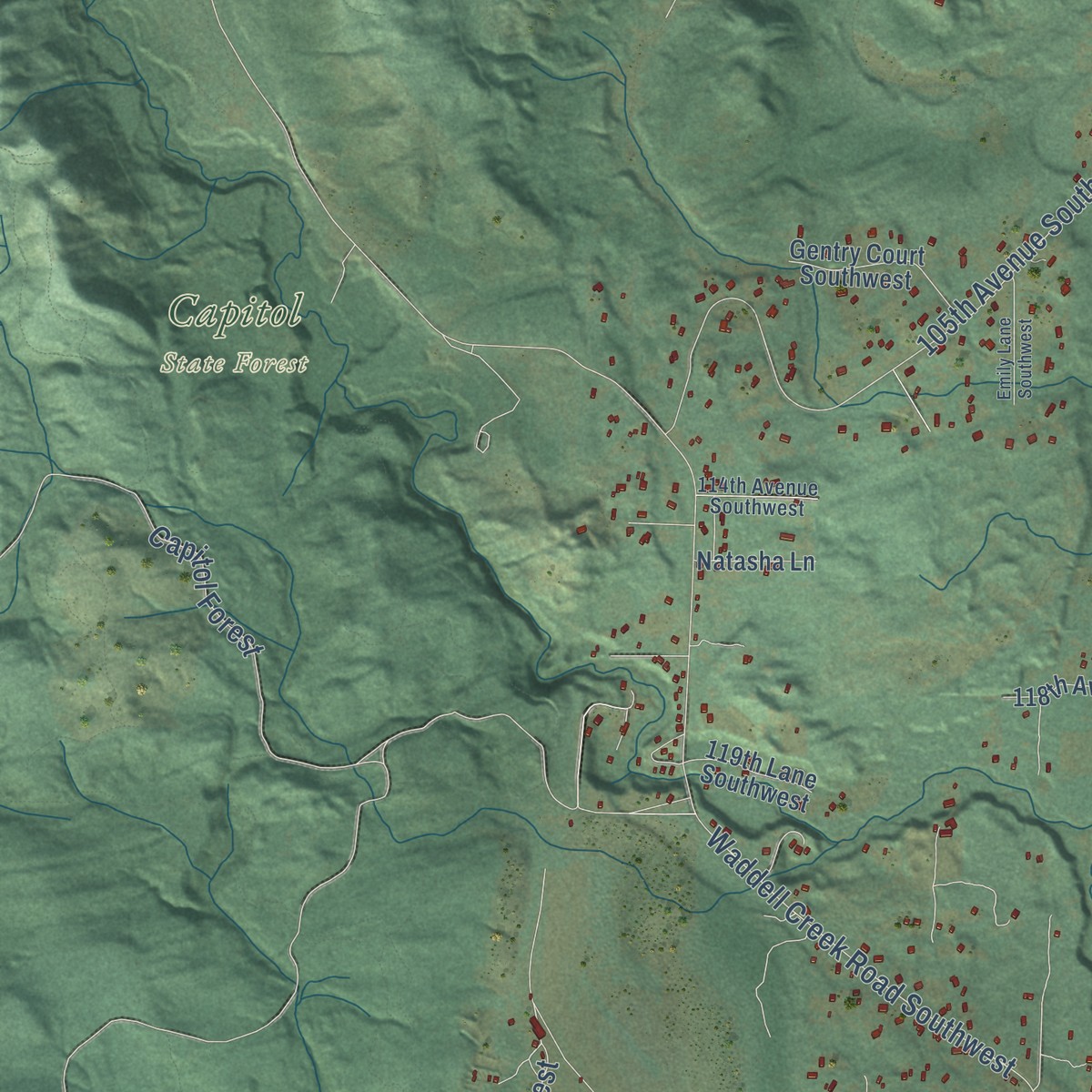 Second close-up of the map of Littlerock, Washington print showing more streets and buildings