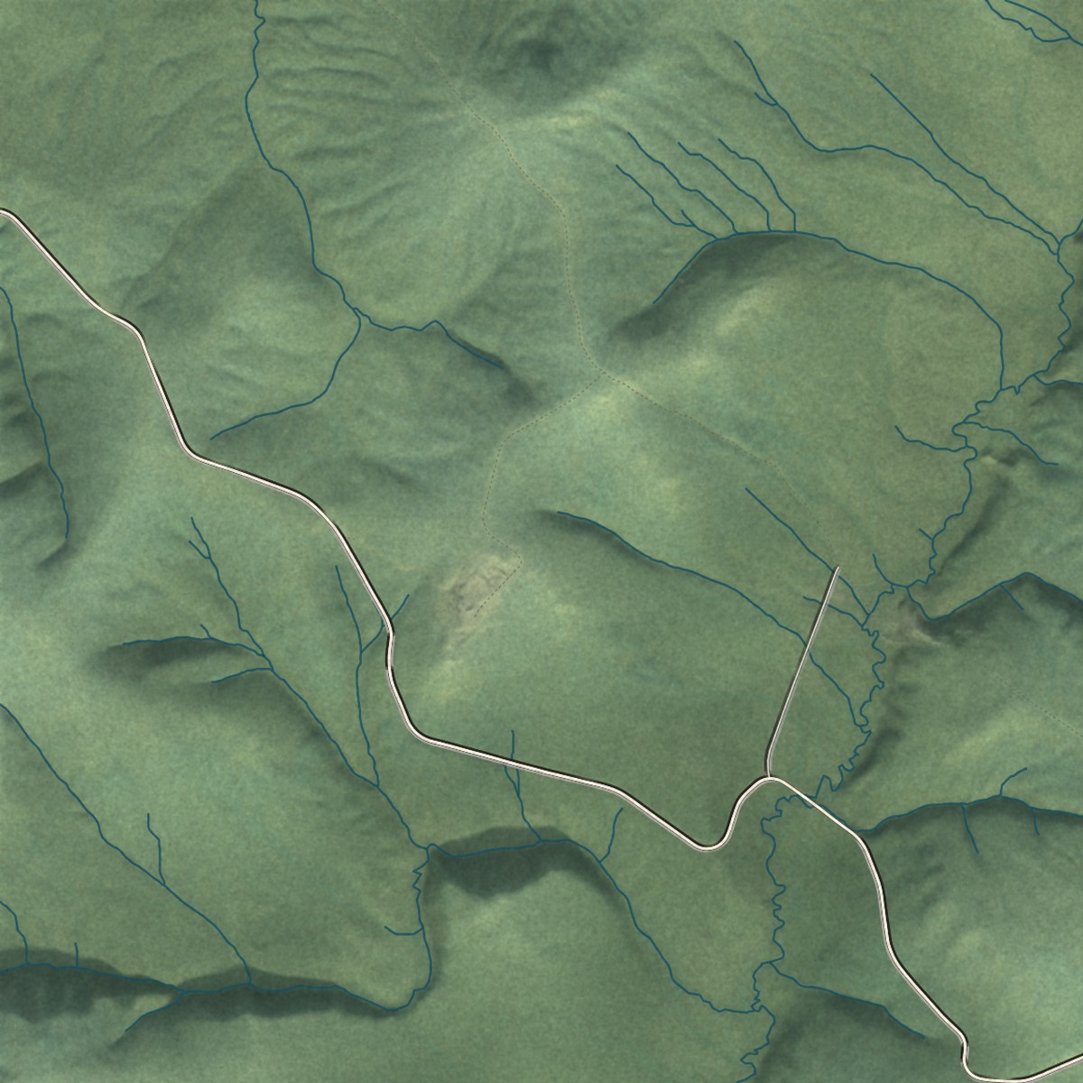 Second close-up of the map of Livengood, Alaska print showing more streets and buildings