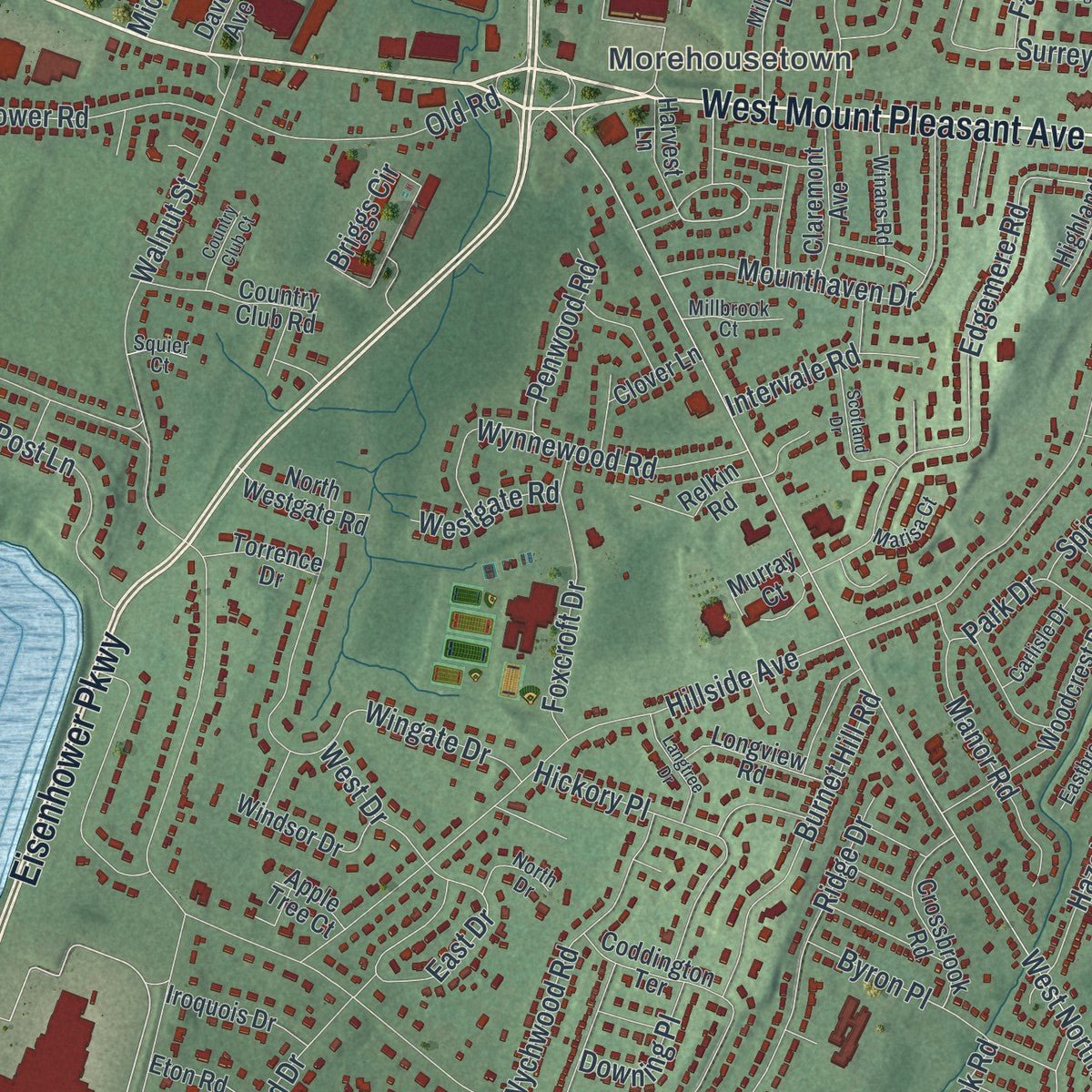 Second close-up of the map of Livingston, New Jersey print showing more streets and buildings