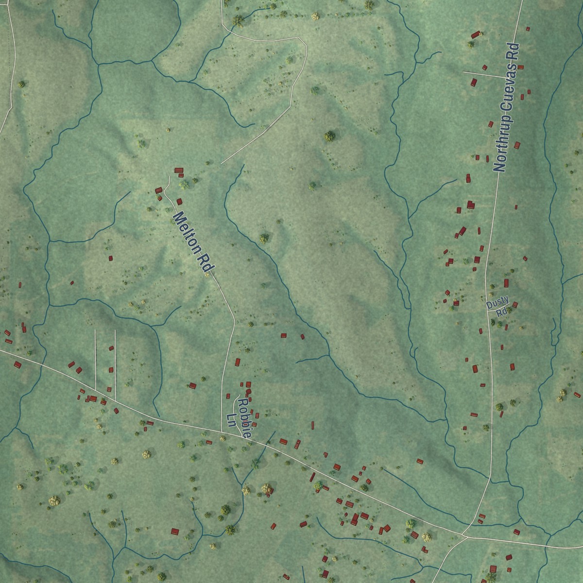 Second close-up of the map of Lizana, Mississippi print showing more streets and buildings