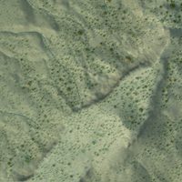 Second close-up of the map of Lobo Canyon, New Mexico print showing more streets and buildings