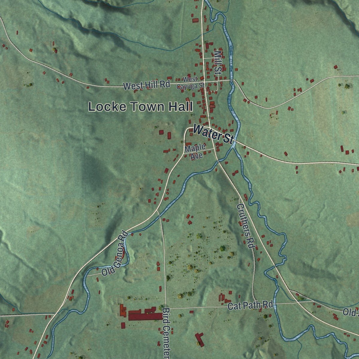 Second close-up of the map of Locke, New York print showing more streets and buildings