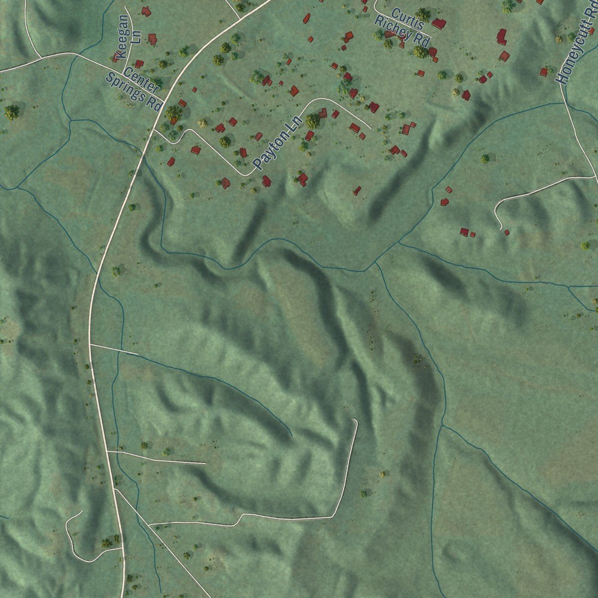 Second close-up of the map of Locust Fork, Alabama print showing more streets and buildings