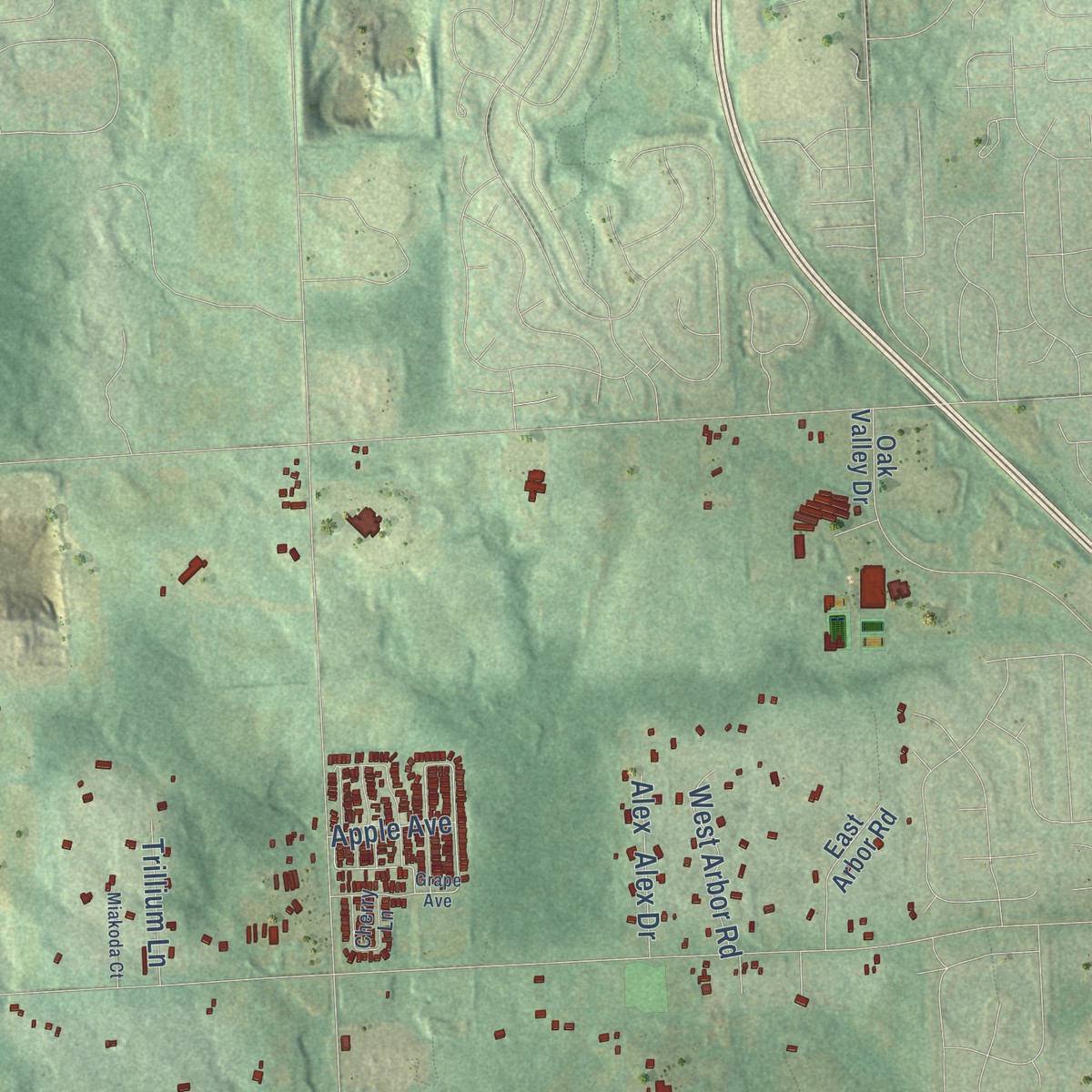 Second close-up of the map of Lodi, Michigan print showing more streets and buildings