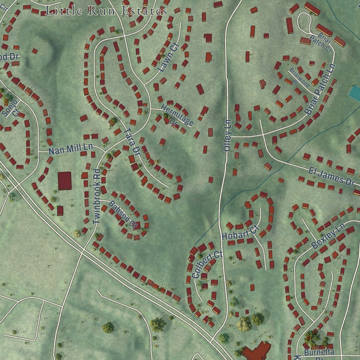 Second close-up of the map of Long Branch, Virginia print showing more streets and buildings