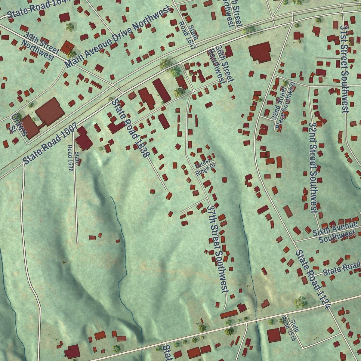 Second close-up of the map of Long View, North Carolina print showing more streets and buildings