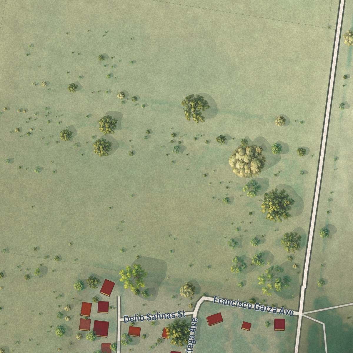 Second close-up of the map of Los Ebanos, Hidalgo County, Texas print showing more streets and buildings