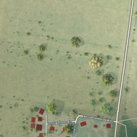 Second close-up of the map of Los Ebanos, Hidalgo County, Texas print showing more streets and buildings
