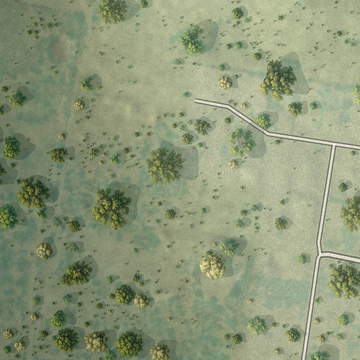Second close-up of the map of Los Ebanos, Starr County, Texas print showing more streets and buildings