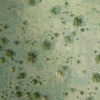 Second close-up of the map of Los Ebanos, Starr County, Texas print showing more streets and buildings