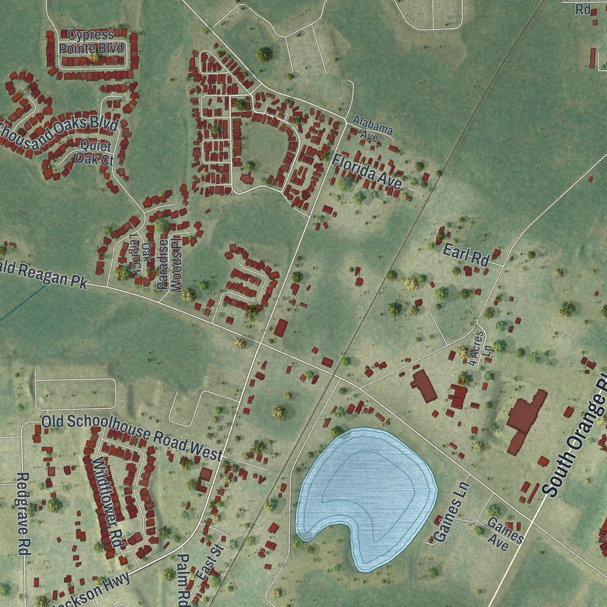 Second close-up of the map of Loughman, Florida print showing more streets and buildings