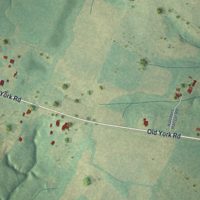 Second close-up of the map of Lowrys, South Carolina print showing more streets and buildings
