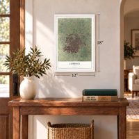 Lubbock, Texas map, 12 x 18 inch print in a white frame in an entryway