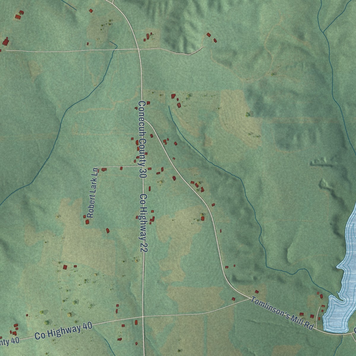 Second close-up of the map of Lyeffion, Alabama print showing more streets and buildings