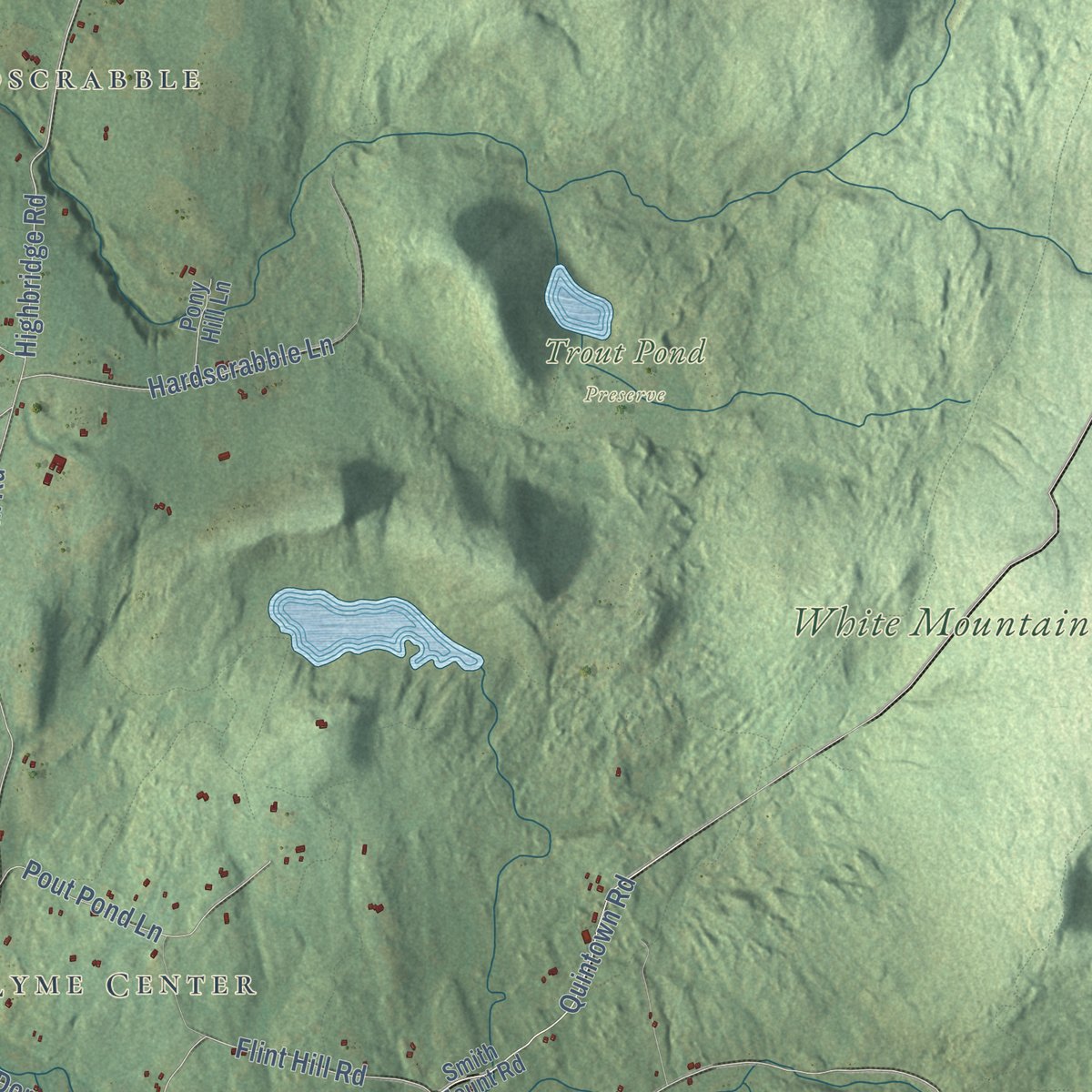 Second close-up of the map of Lyme, New Hampshire print showing more streets and buildings