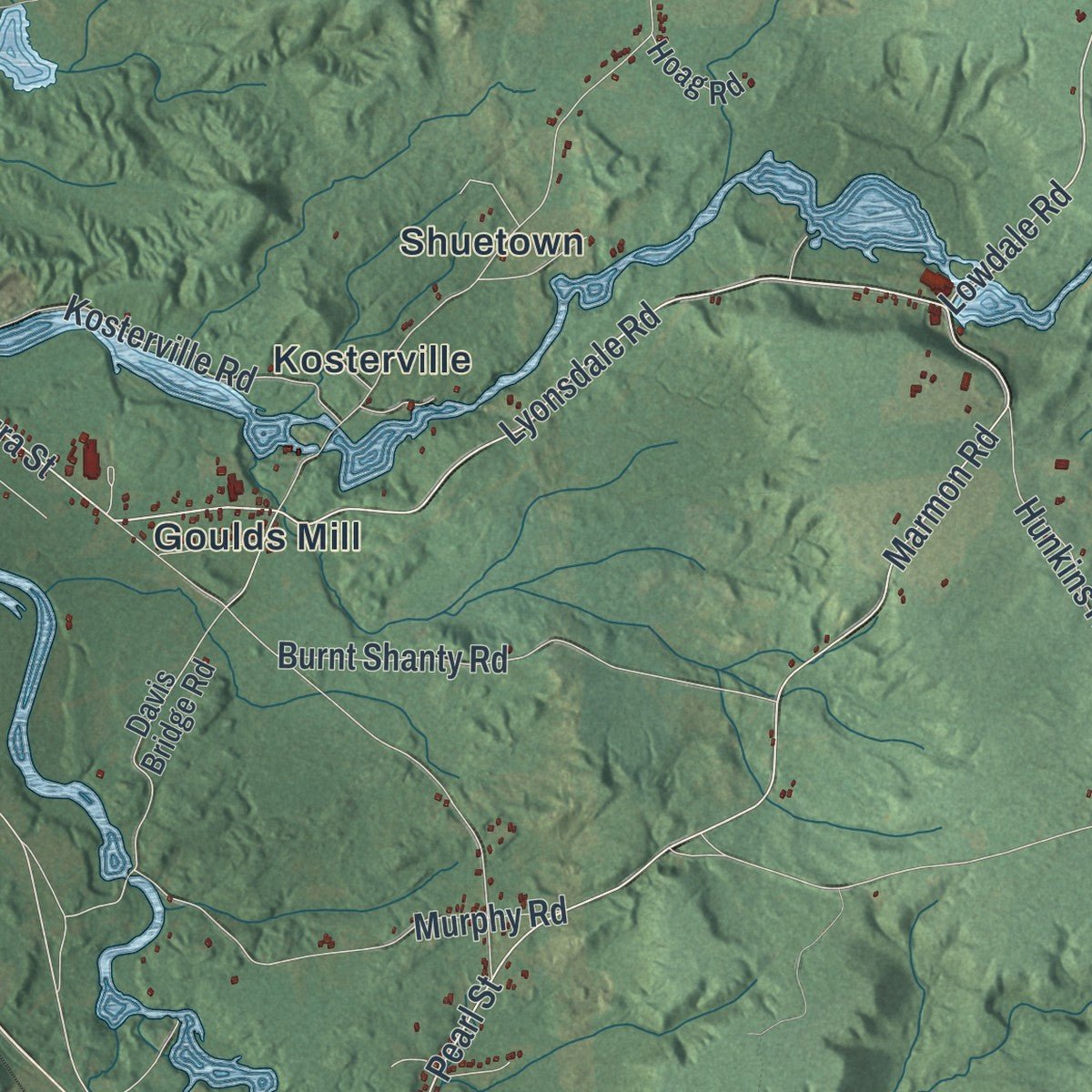 Second close-up of the map of Lyonsdale, New York print showing more streets and buildings