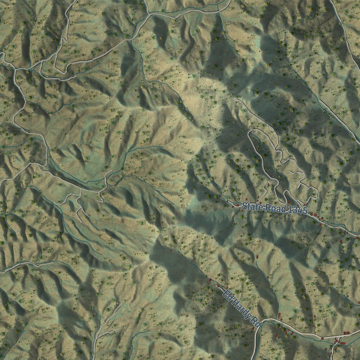 Second close-up of the map of Mabel, North Carolina print showing more streets and buildings