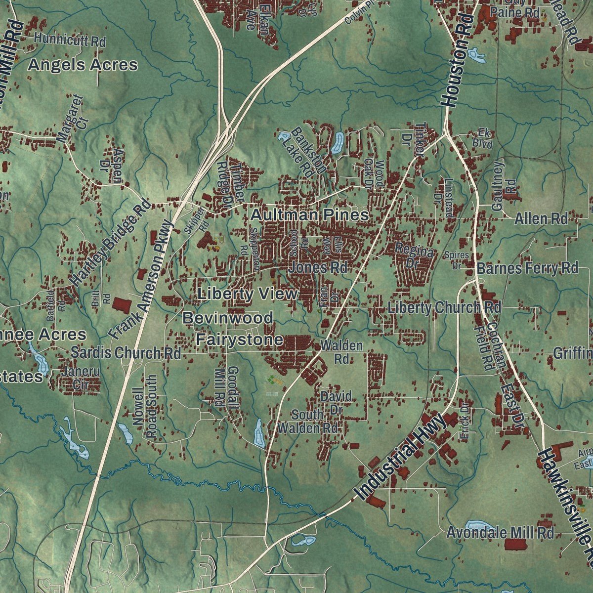Second close-up of the map of Macon-Bibb County, Georgia print showing more streets and buildings