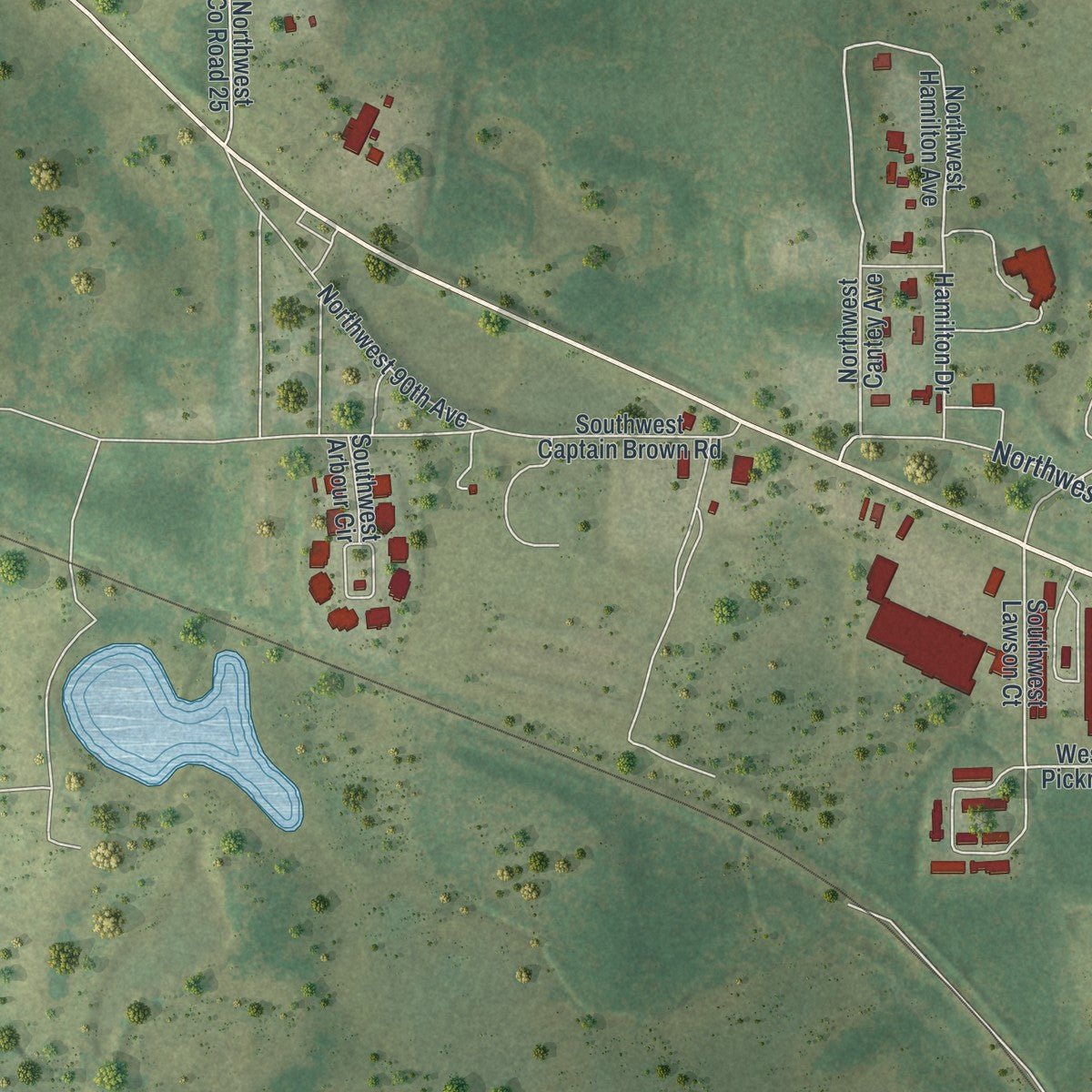 Second close-up of the map of Madison, Florida print showing more streets and buildings