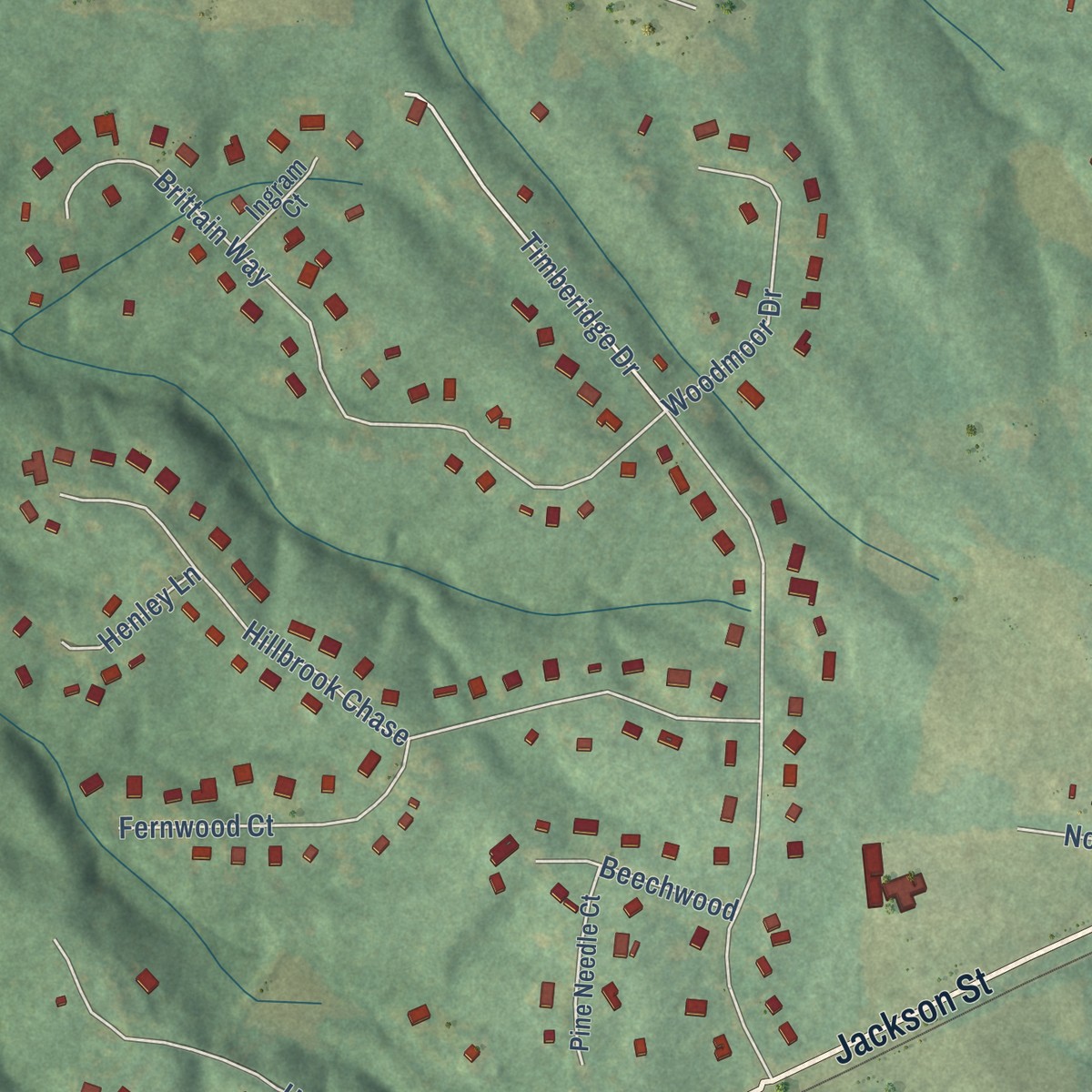 Second close-up of the map of Madras, Georgia print showing more streets and buildings