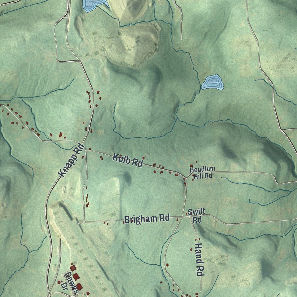 Second close-up of the map of Maine, New York print showing more streets and buildings