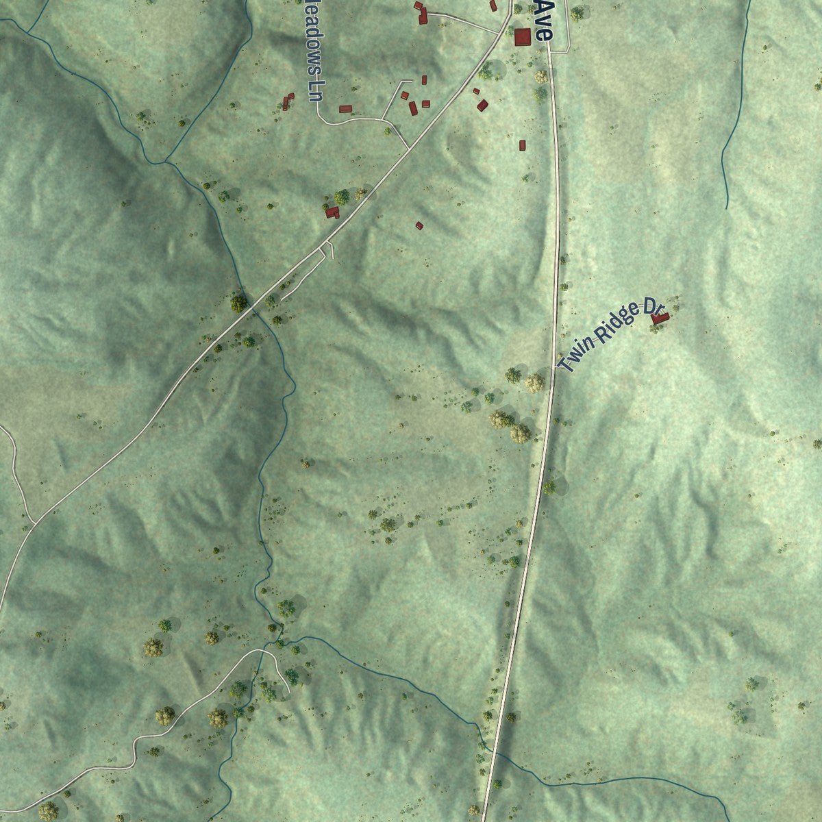 Second close-up of the map of Makanda, Illinois print showing more streets and buildings