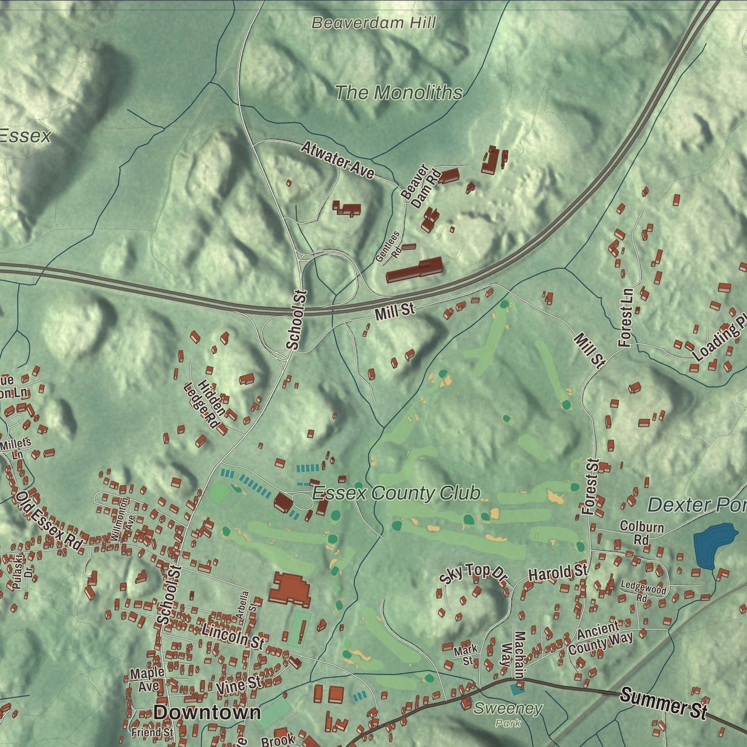 Close-up of the map of Manchester-by-the-Sea, Massachusetts print showing terrain and local geography