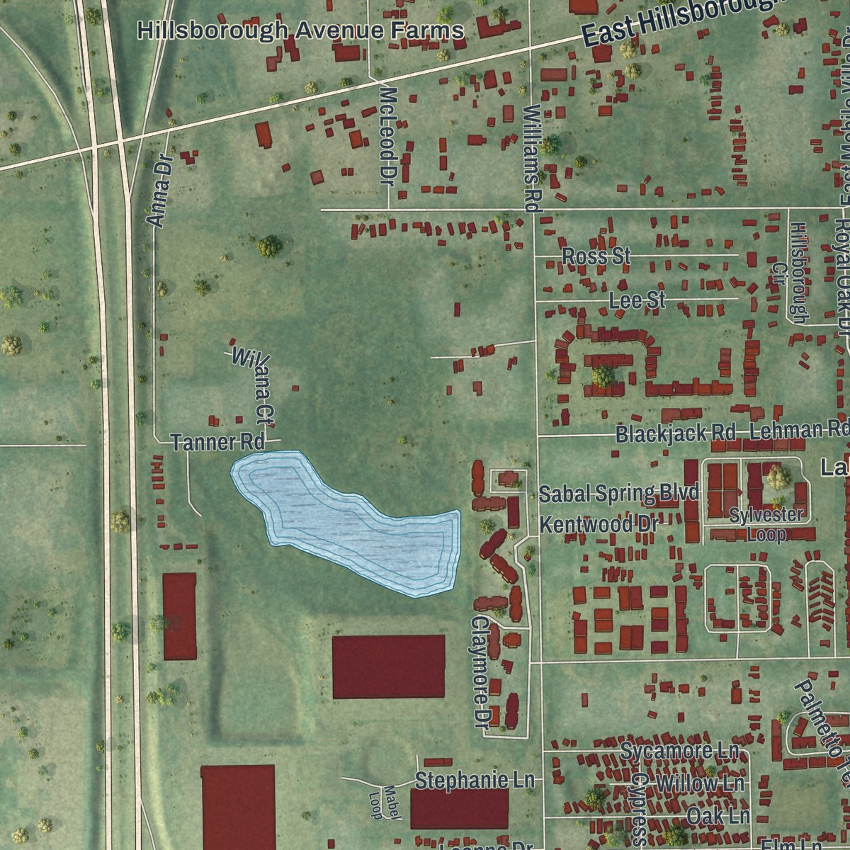 Second close-up of the map of Mango, Florida print showing more streets and buildings