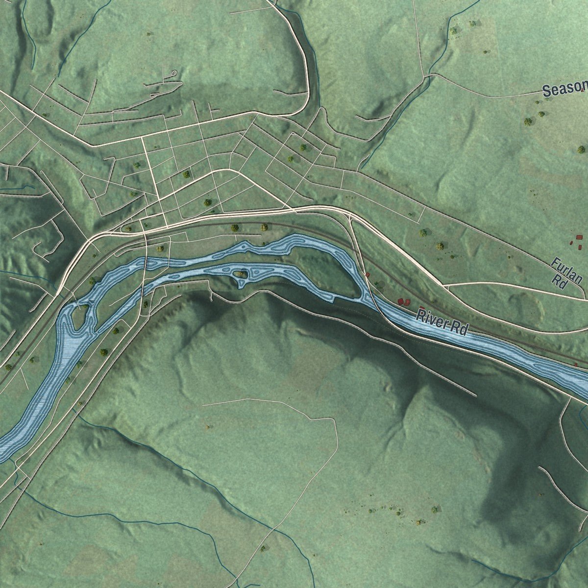 Second close-up of the map of Manheim, New York print showing more streets and buildings