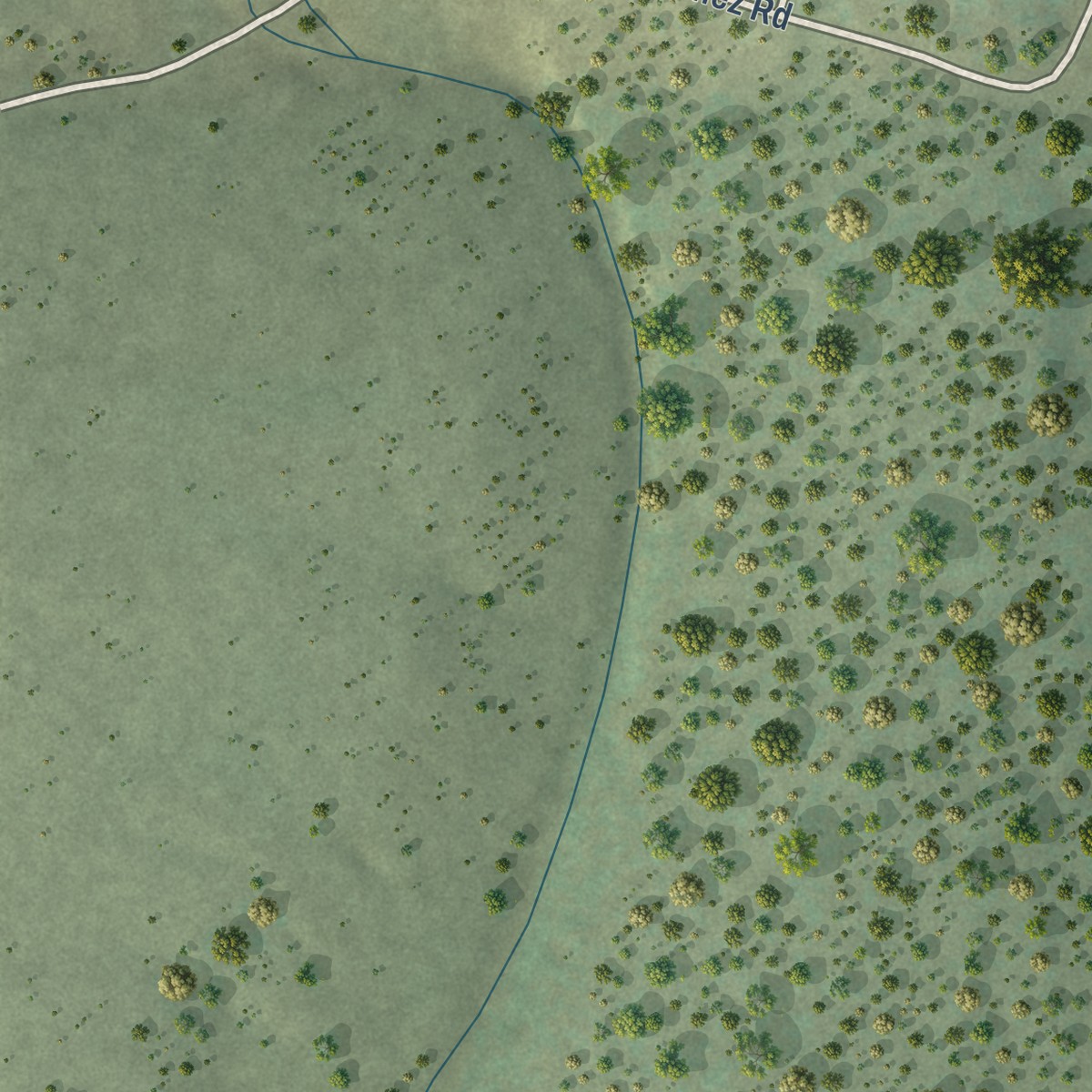 Second close-up of the map of Manzano Springs, New Mexico print showing more streets and buildings