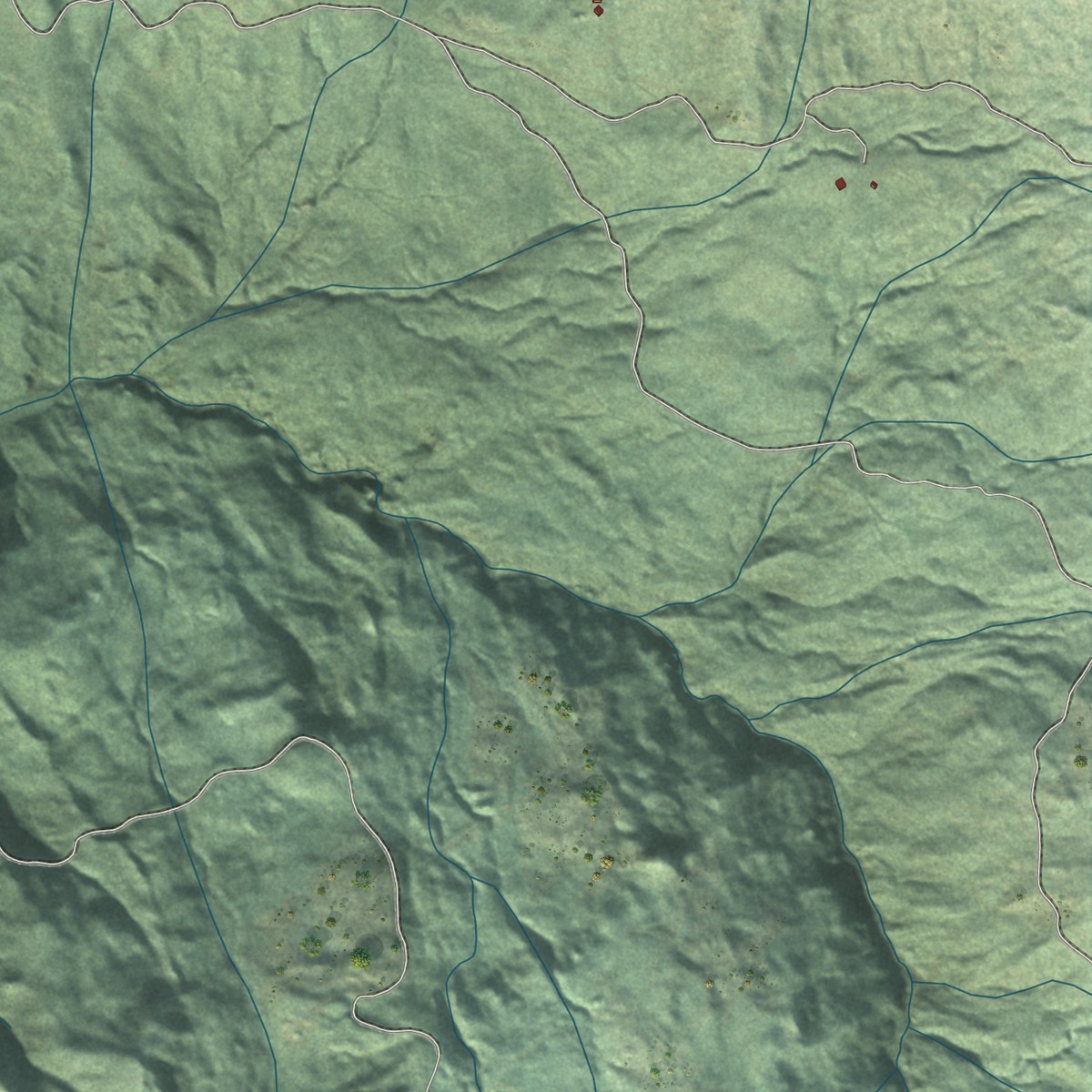 Second close-up of the map of Maple Creek, California print showing more streets and buildings