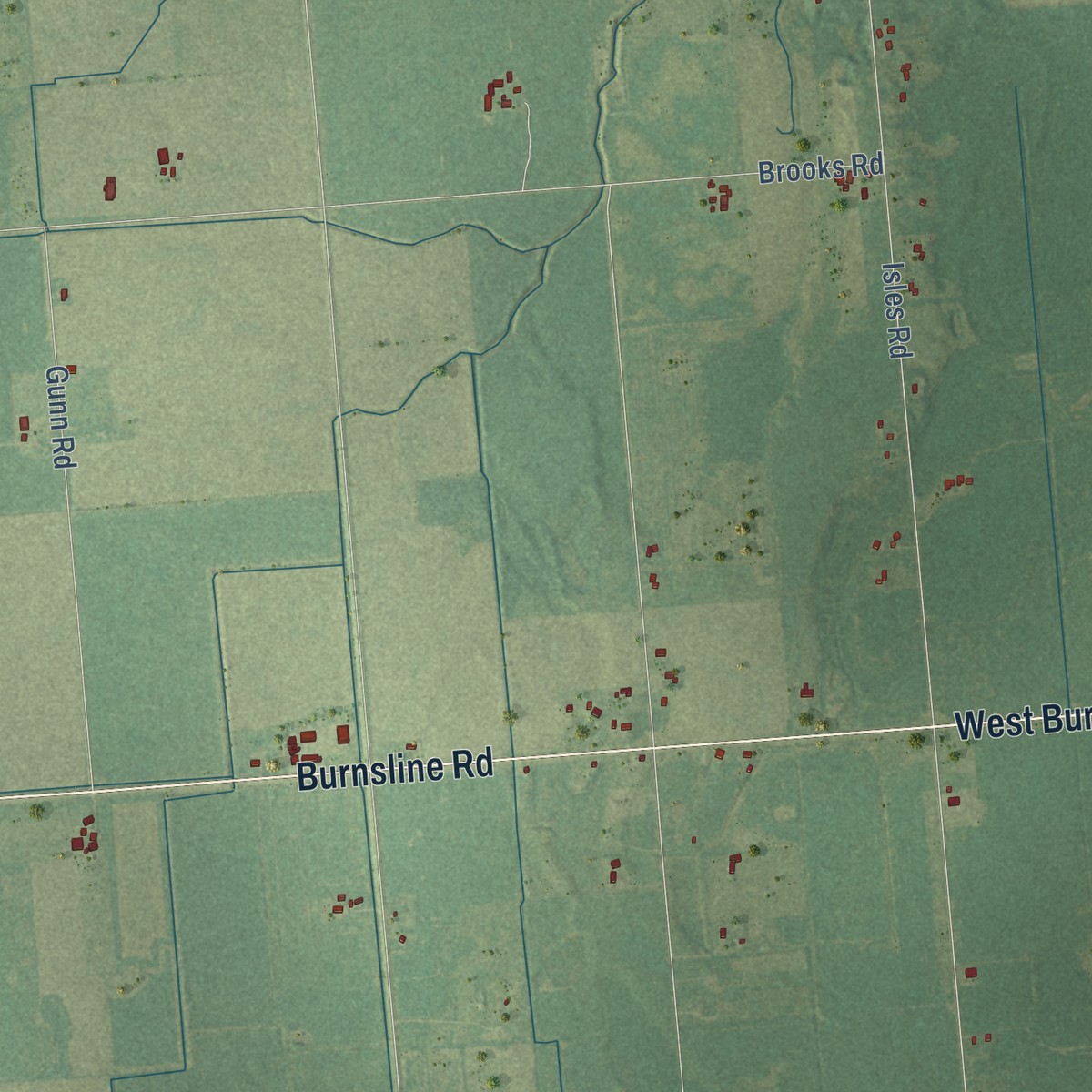 Second close-up of the map of Maple Valley, Sanilac County, Michigan print showing more streets and buildings